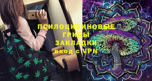 марки lsd Белокуриха
