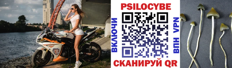 Купить где  Мураши  Псилоцибиновые грибы мухоморы 